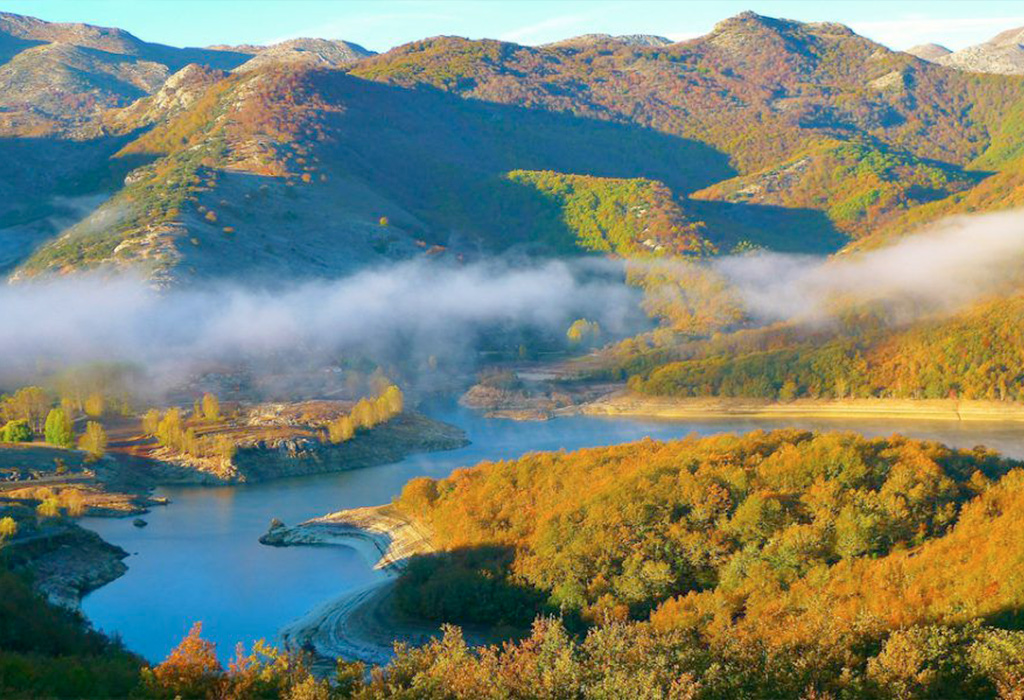 Clínica dental en Montaña Palentina